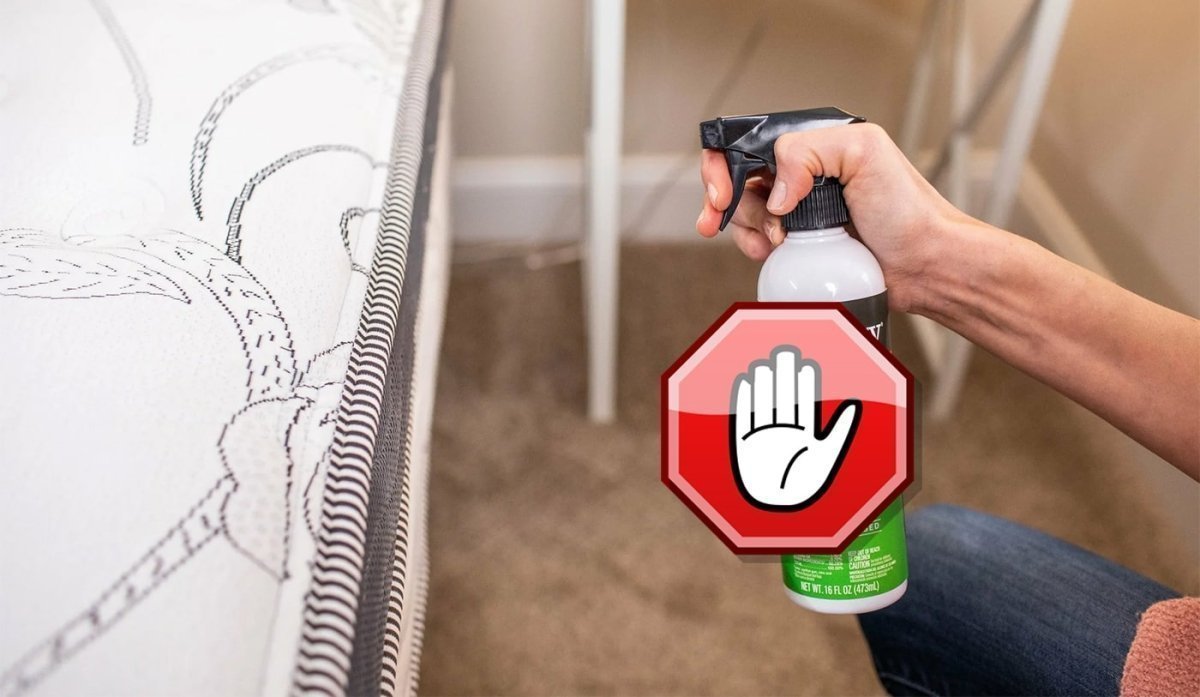 produit punaise de lit