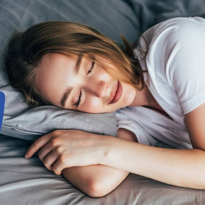 punaise de lit prévention