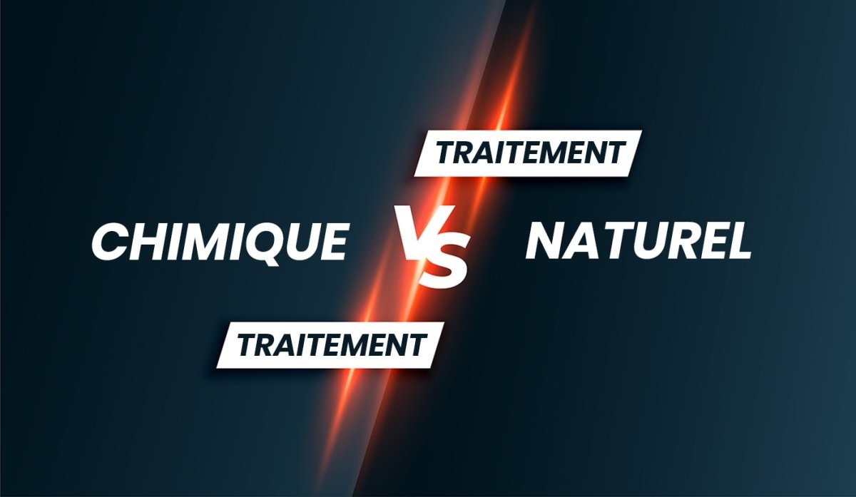 punaise de lit traitement naturel