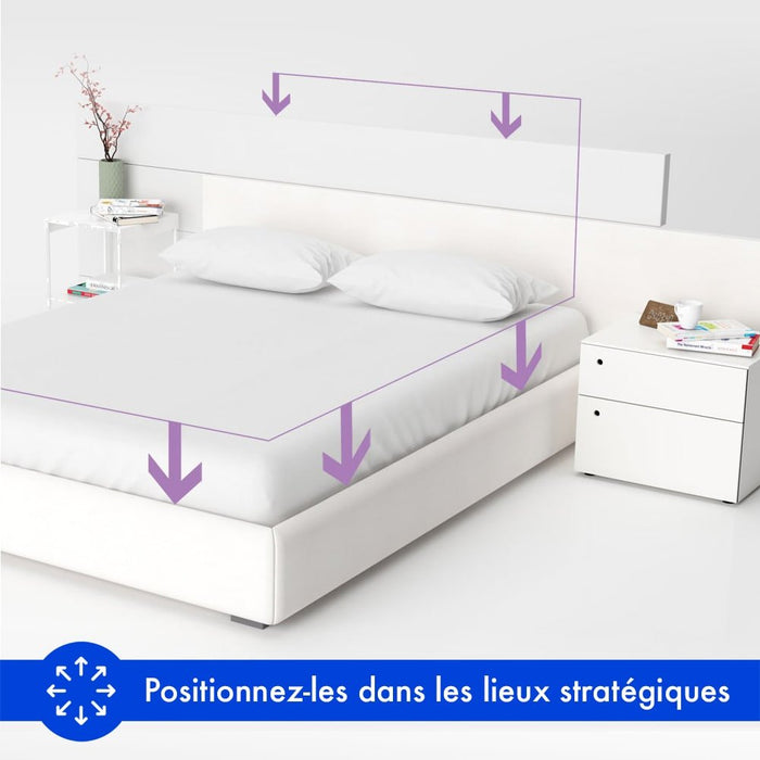 piège punaise de lit domobios