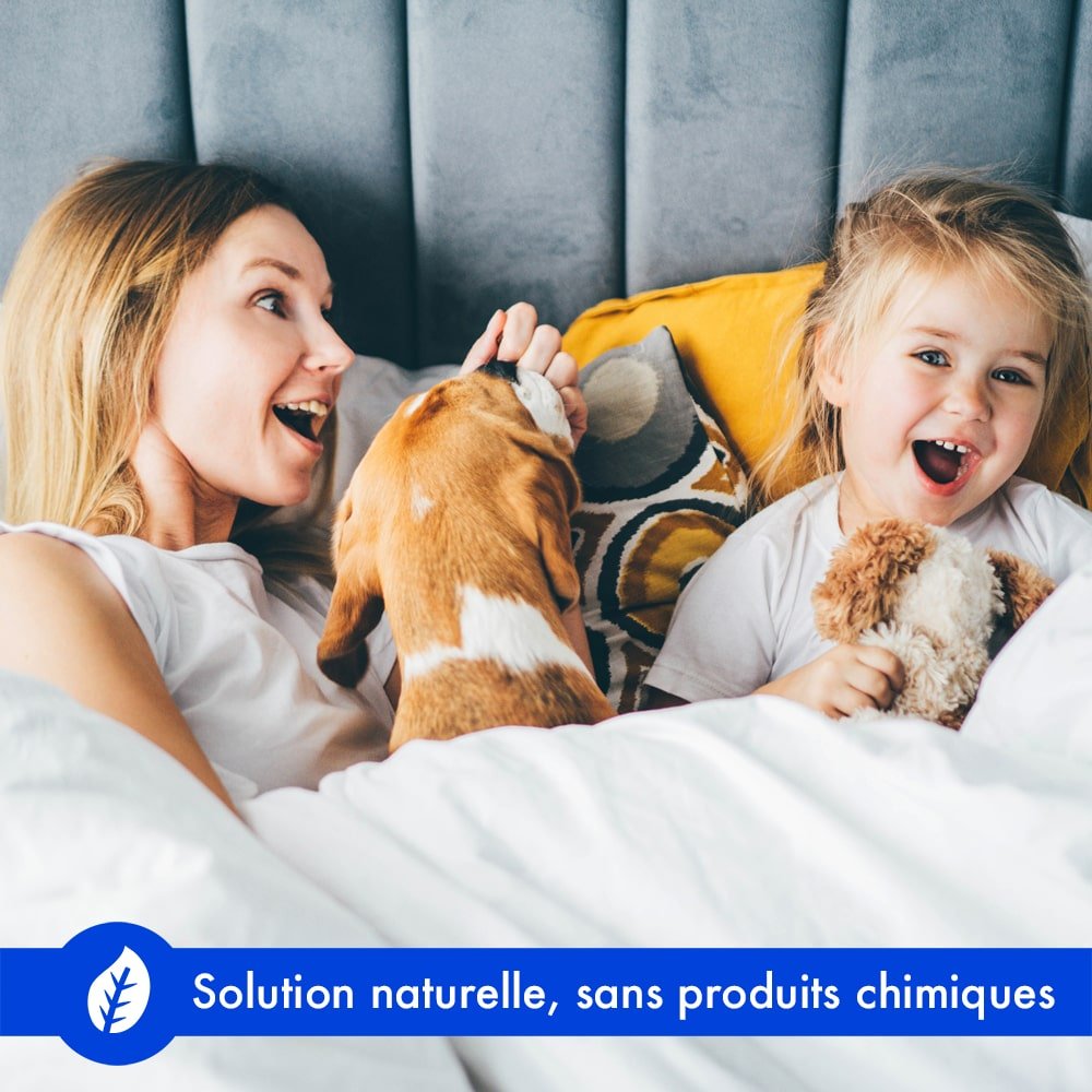traitement punaise de lit naturel froid