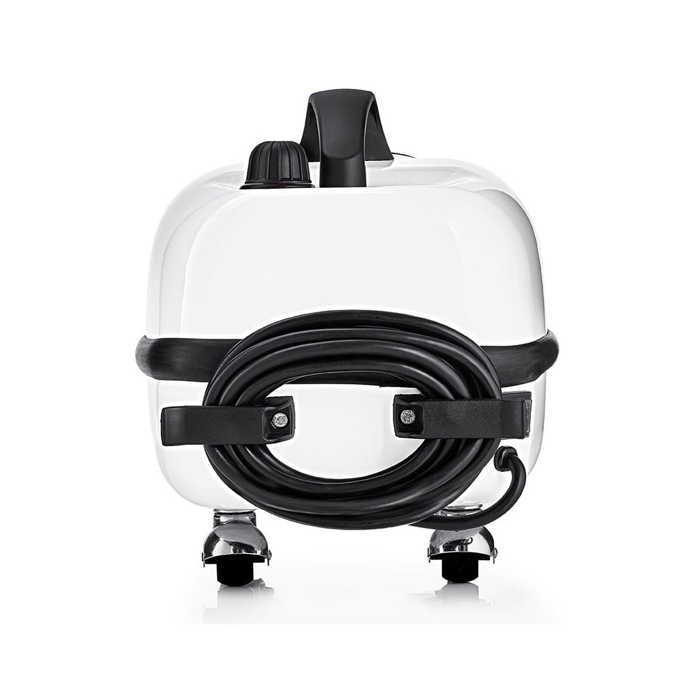 nettoyeur vapeur puce de lit
