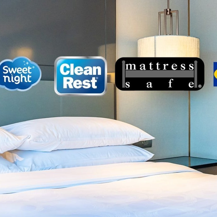 housse anti punaise de lit