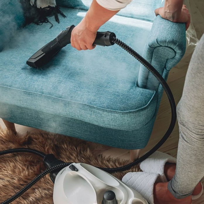 nettoyeur vapeur punaise de lit