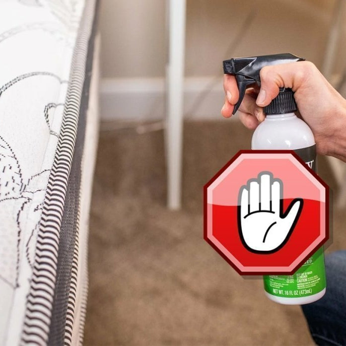 produit punaise de lit