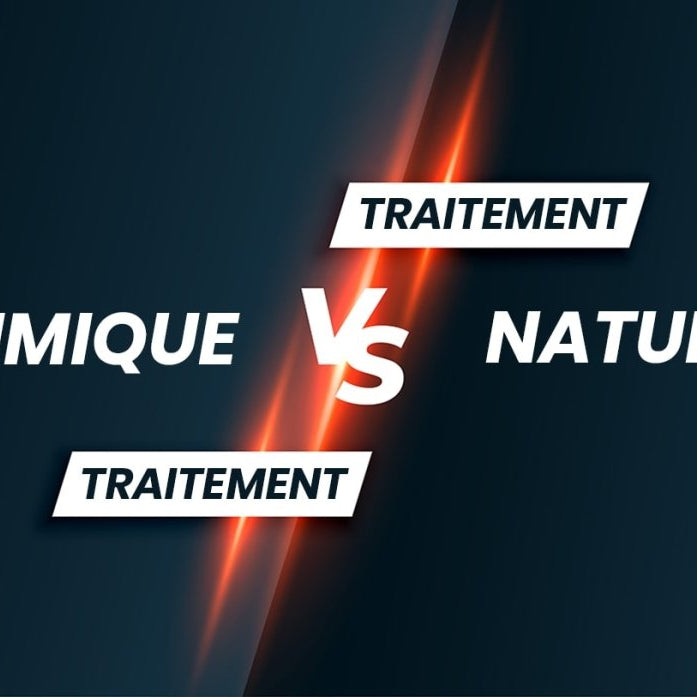 punaise de lit traitement naturel