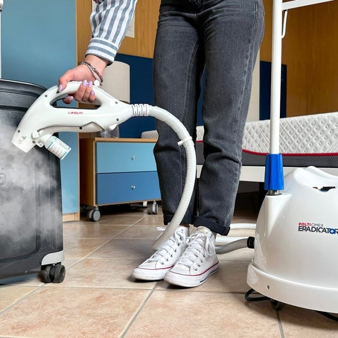 punaise de lit traitement naturel