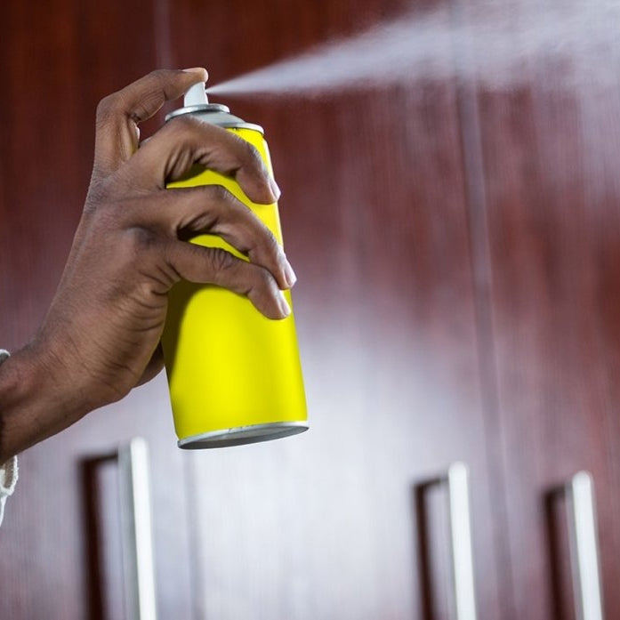 spray anti punaise de lit