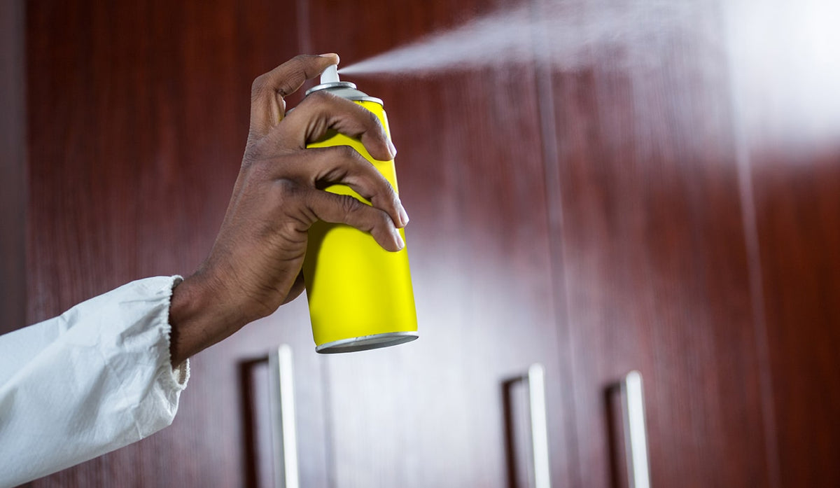 Raid Essentials Spray Aerosol - Répulsif Moustiques pour Maison