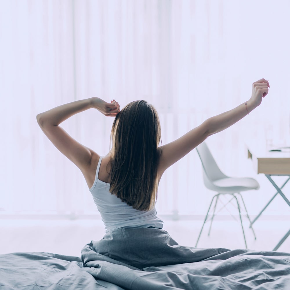 matelas puce de lit