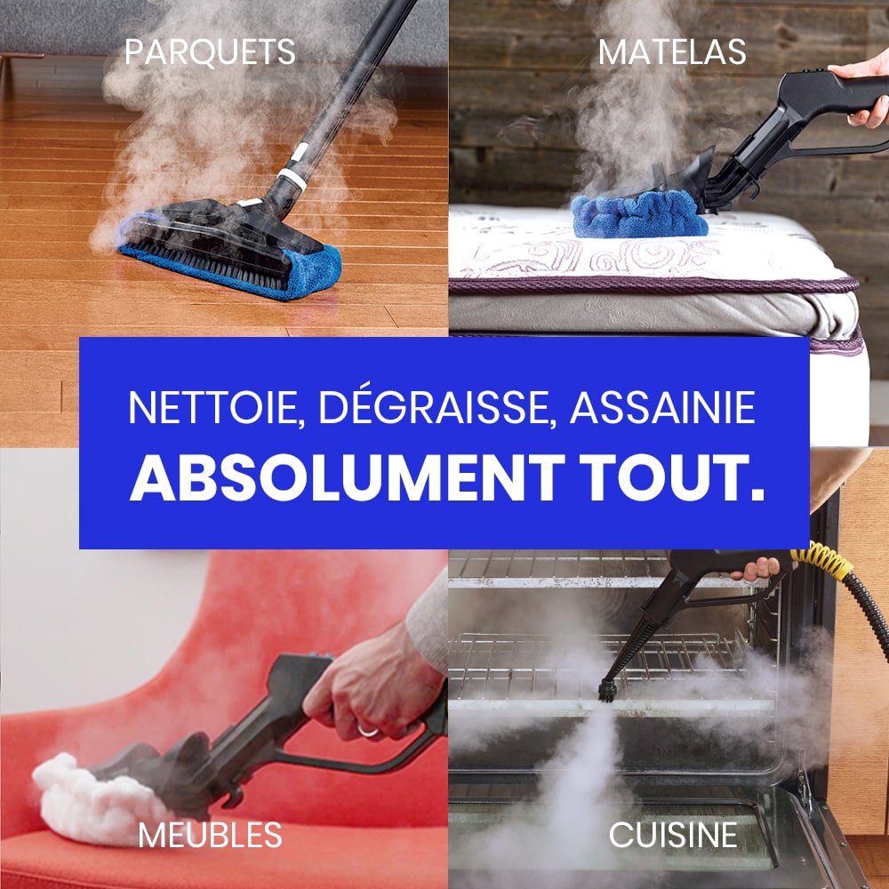 nettoyeur vapeur contre punaise de lit