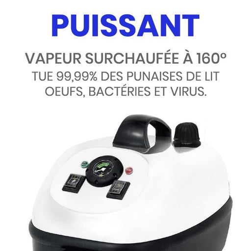 nettoyeur vapeur punaise de lit