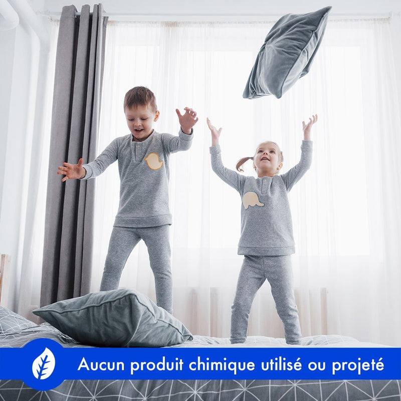 nettoyeur vapeur punaise de lit cimex eradicator