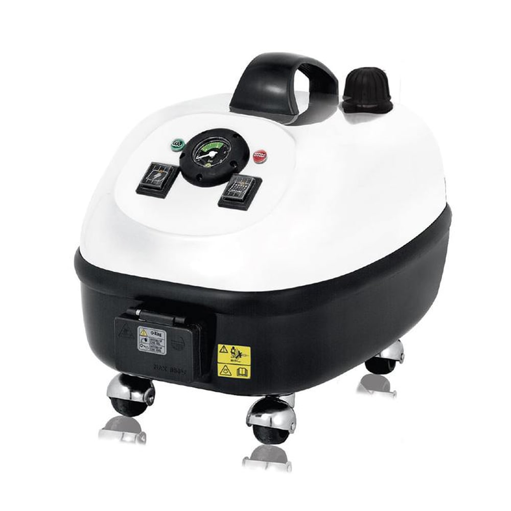nettoyeur vapeur sèche punaise de lit