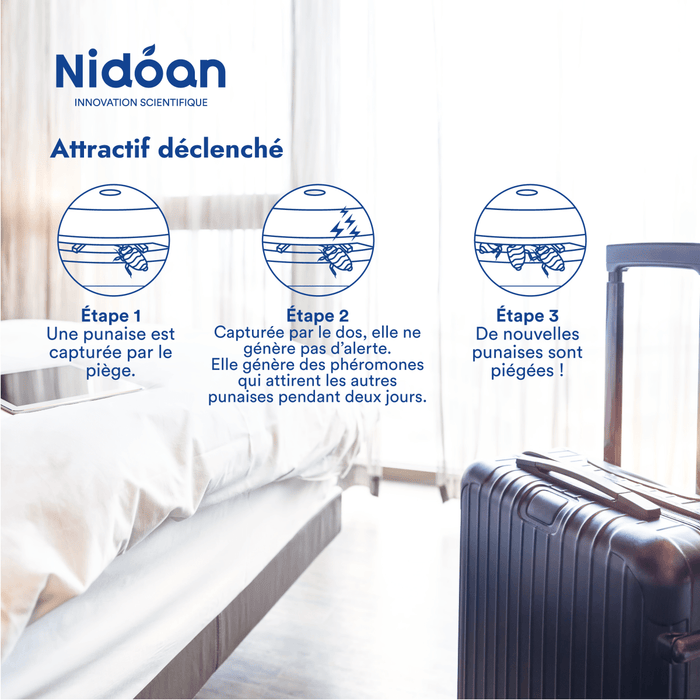 Effet attractif piège punaise de lit universel Nidoan