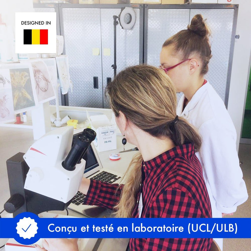 punaise de lit domobios