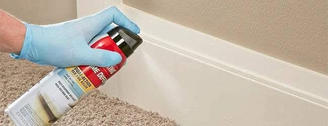 Spray froid cryo anti-punaises de lit combiné à la diatomée