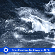 bombe anti punaise de lit