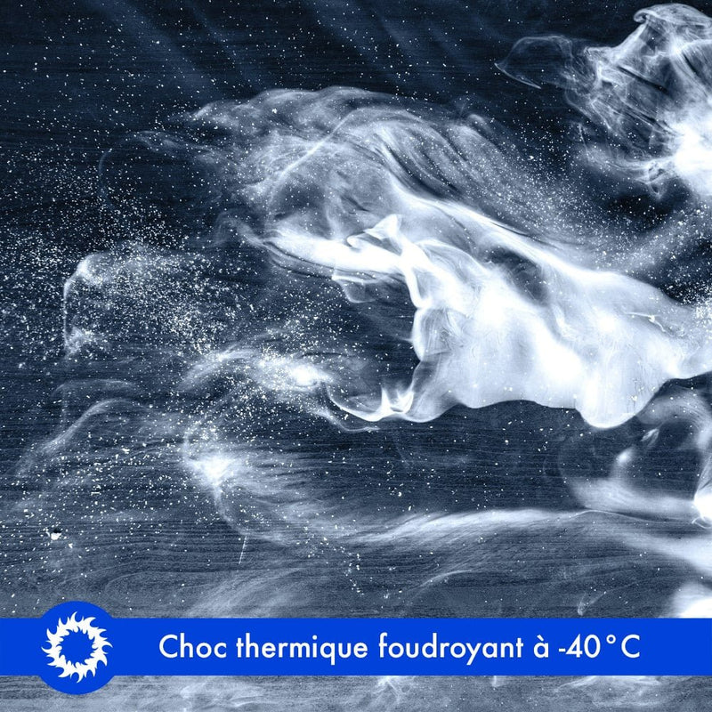 bombe anti punaise de lit