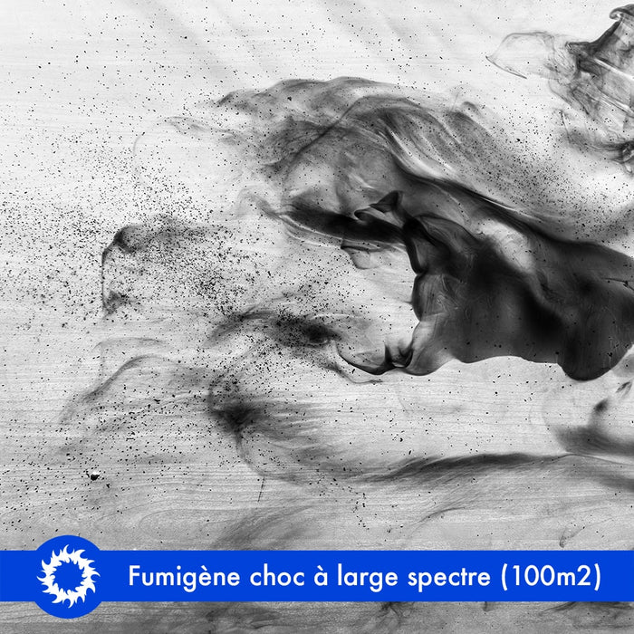 Fumigène Digrain puces punaises anti gale one shot efficace larve et adulte