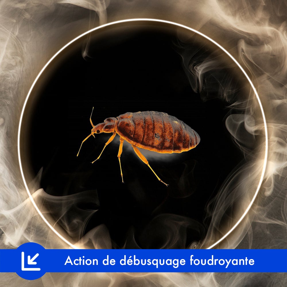 fumigène punaise de lit armosa