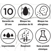 punaise de lit sommier cleanrest