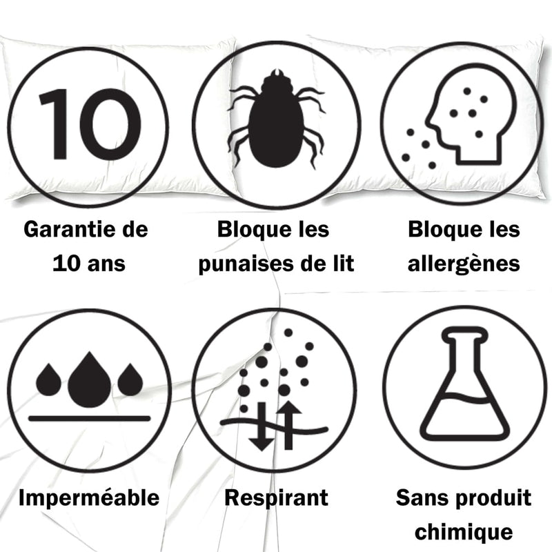 punaise de lit sommier cleanrest