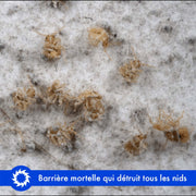 terre de diatomée punaise de lit